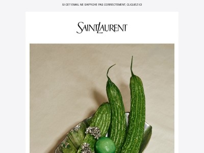 Les Bijoux Saint Laurent