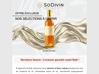 🚚 Dernières heures - Livraison garantie avant Noël 🎄🎁