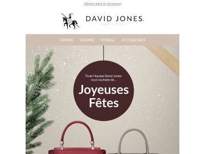 🎁 Joyeuses Fêtes : votre cadeau exclusif vous attend…