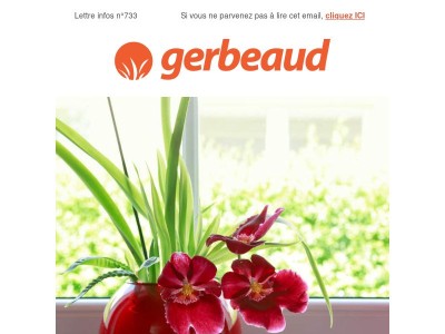 Vos conseils plantes et jardin pour la semaine