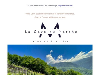 Domaine des Ardoisières: vins de savoie extraordinaires!