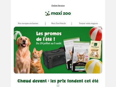 Chaud devant : les prix fondent cet été 🔥 