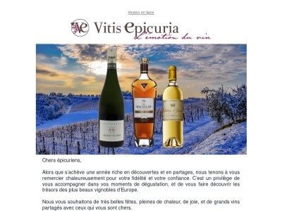Vitis Epicuria vous souhaite de belles fêtes de fin d'année