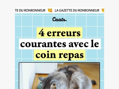 4 erreurs courantes avec le coin repas de ton chat 🙀