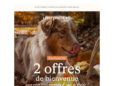 Optez pour des croquettes réellement adaptées à ses besoins 🐾