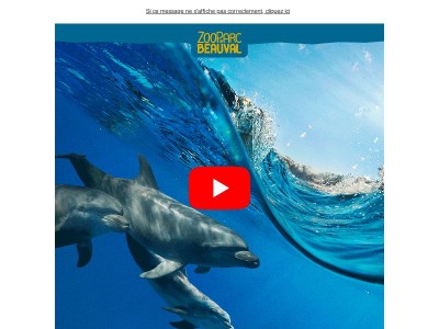 Beauval lance un centre unique en Europe pour les dauphins 🐬