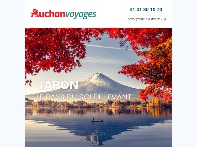 ⛩️🌸 Japon : le pays du soleil levant