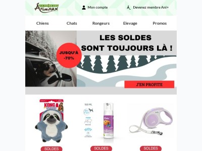 Soldes d’hiver 2026 : gâtez votre animal à prix doux !