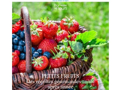 Anticipez vos futures récoltes gourmandes ! 🍓🫐