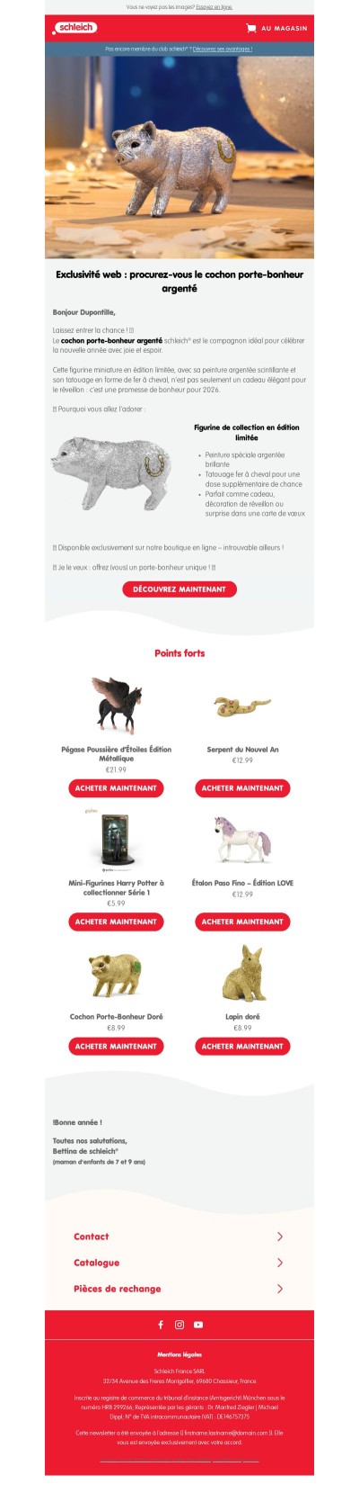 ✨ Exclusif : le cochon porte‑bonheur argenté, disponible uniquement chez nous