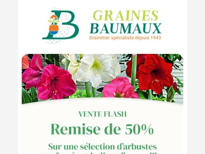🕔 REMISE de 50% sur une sélection d'arbustes parfumés et bulbes d'amaryllis.