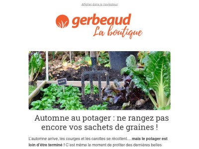 🫘 Pois, fèves, mâche… profitez de l’automne pour semer !
