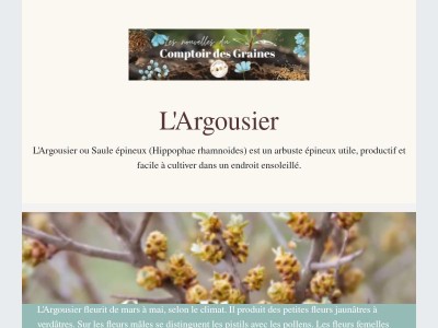 L'Argousier