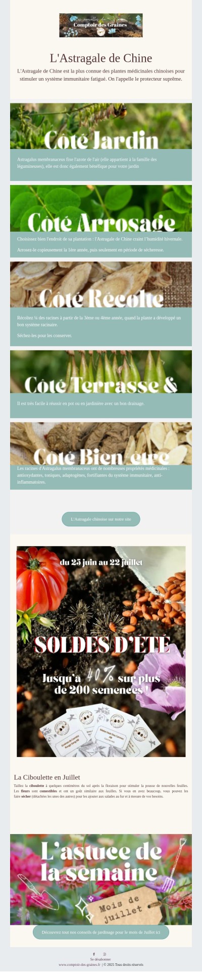 La plus connue des plantes médicinales chinoises...🌱