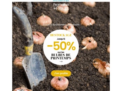 ⏱️Jusqu'à -50% sur les bulbes de printemps !