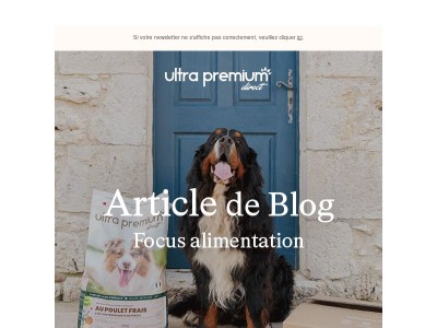 Articles de blog | Focus ALIMENTATION 🐶😺