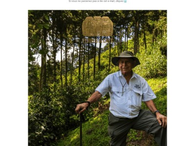 Nouveauté : Baby Geisha, Finca Pacaya