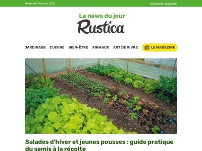 Jeunes pousses et salades d’hiver : conseils pratiques pour réussir vos cultures sous abri