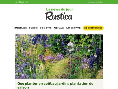Que planter au mois d'août au jardin potager ?