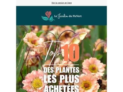 Découvrez le top 10 des plantes les plus achetées ce mois-ci !