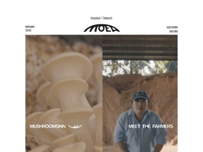 Rencontrez les producteurs derrière nos sneakers en champignon.
