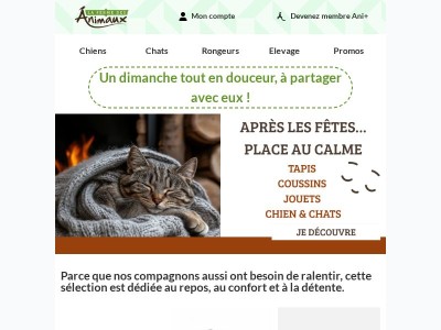 Le bien-être commence par le repos 😎