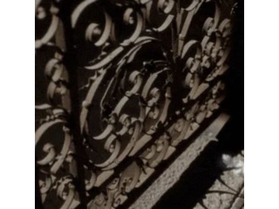 Regardez en direct le défilé FW26