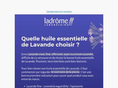 Les différentes "Lavande" : comment s'y retrouver ? 🤔