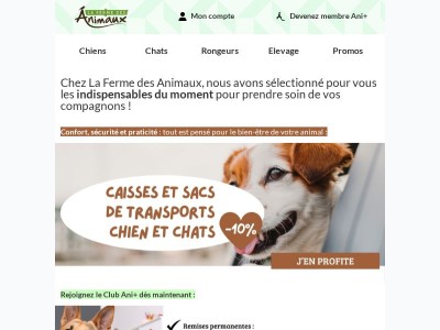 Les bons plans du moment !