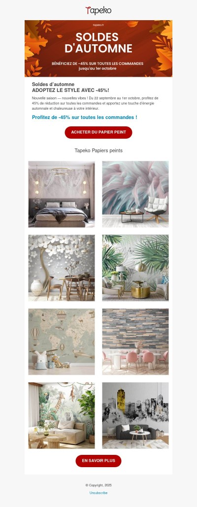 🍂 Ambiance d’automne : –45% sur toutes les commandes !