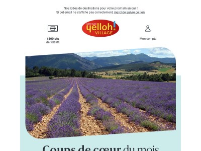 COUPS DE COEUR | Découvrez notre sélection du mois