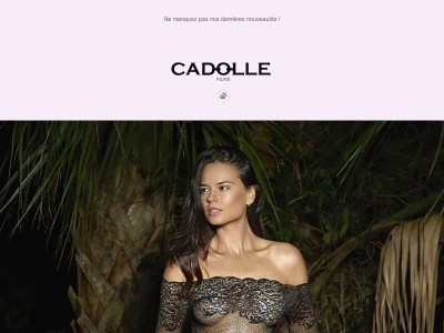 Découvrez les dernières nouveautés pour vous, {{ lastname }}!