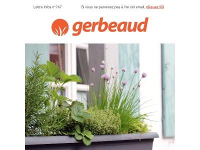 Vos conseils plantes et jardin pour la semaine