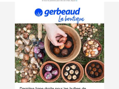 💥 Dernière ligne droite pour ces plantations !