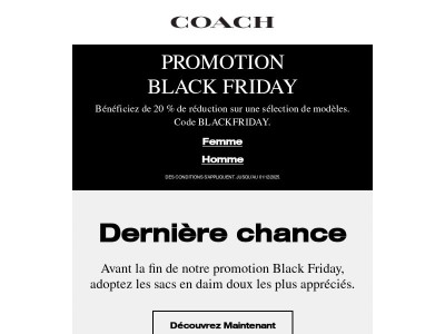 Profitez de 20 % de réduction sur *ces* sacs en daim doux