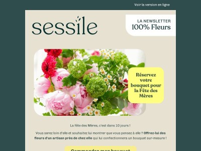 Commandez dès maintenant votre bouquet pour la Fête des Mères