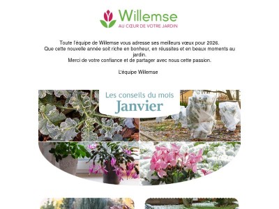 Une nouvelle année au jardin : nos vœux et conseils pour janvier