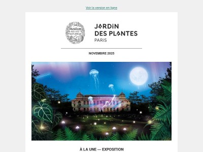 En voie d'illumination : Lumières de la Nature