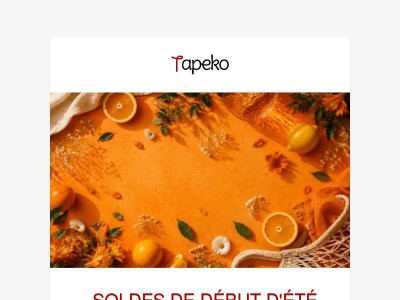 🌞 Les Soldes de Début d'Été commencent MAINTENANT ! -55% sur toutes les commandes
