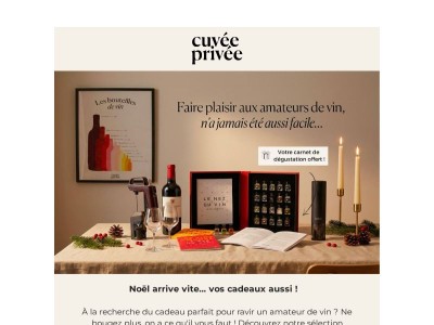 🎁 Pour Noël, offrez des accessoires vin uniques !