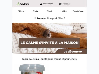 Tapis, coussins et jouets pour se reposer