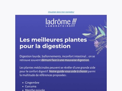 Digestion : quelle plante choisir ? 🌿