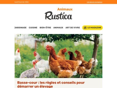 Basse-cour : les règles et conseils pour démarrer un élevage