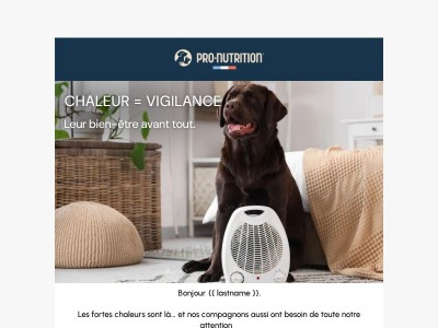 -20% jusqu’à ce soir seulement !