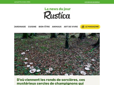 D'où viennent les ronds de sorcières, ces mystérieux cercles de champignons qui apparaissent sur les pelouses ? (10/10/2026 10:45) - article