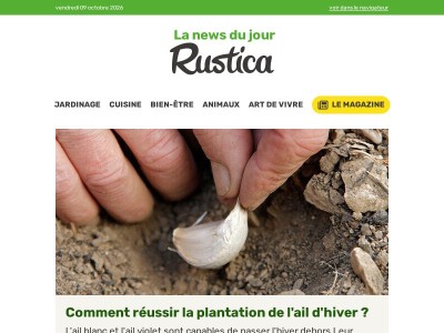 Quand planter l'ail d'hiver : guide pratique pour un bon jardinage