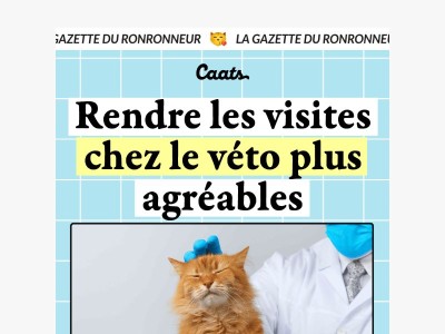 Survivre au rendez-vous véto avec ton chat 🙀