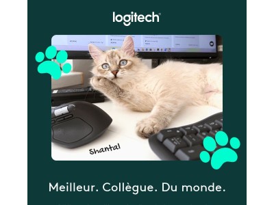 Rencontrez nos meilleurs collègues 🐾