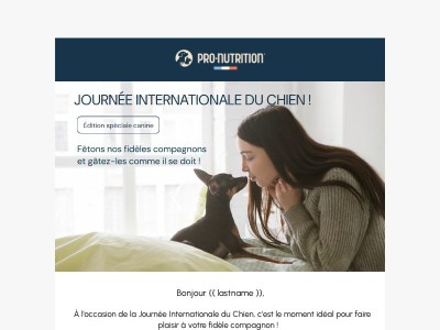 -20% pour la journée du chien 🐶