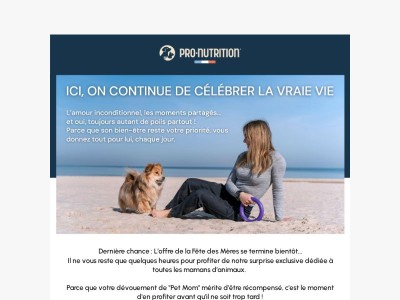 Jusqu'à -25% dernière chance 💛